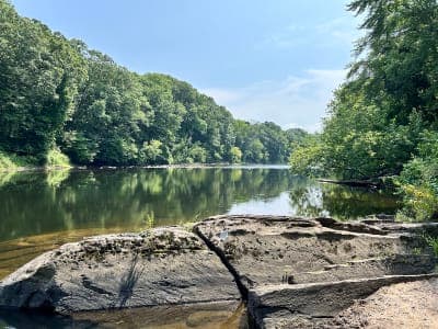 Robinson State Park