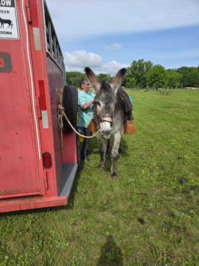 R. J. Dorer State Forest / Zumbro Bottoms Horse Campgrounds