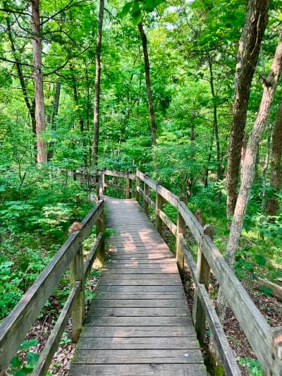 Rock Bridge Memorial State Park