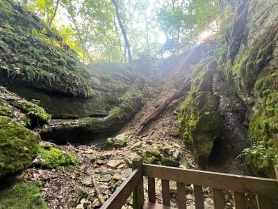 Rock Bridge Memorial State Park