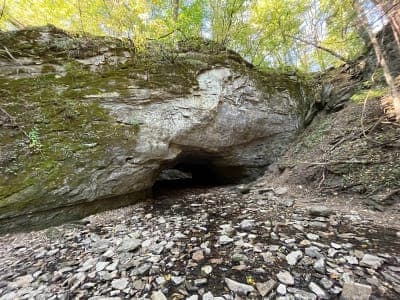 Rock Bridge Memorial State Park
