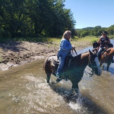 R. J. Dorer State Forest / Zumbro Bottoms Horse Campgrounds