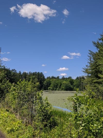 Rockingham Recreational Rail Trail, Portsmouth Branch