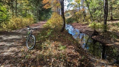 Rockingham Recreational Rail Trail, Fremont Branch