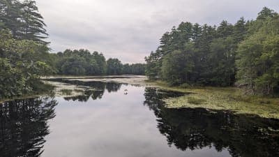 Rockingham Recreational Rail Trail, Portsmouth Branch