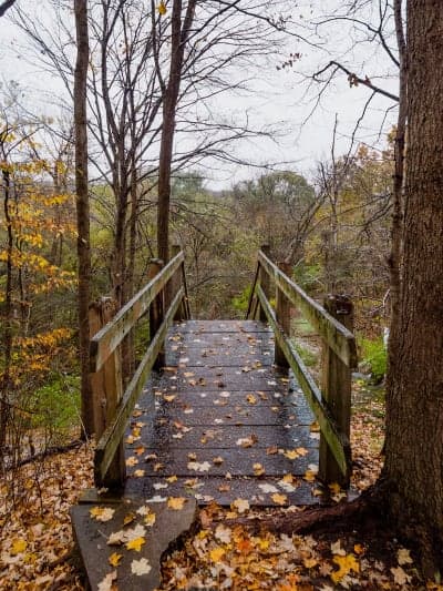 Rock Cut State Park
