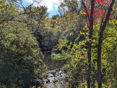 Rock Cut State Park