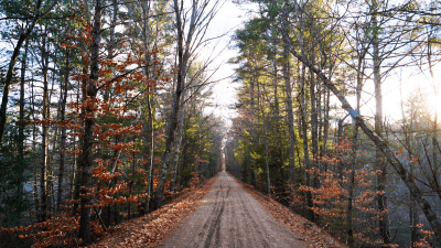 Rockingham Recreational Rail Trail, Fremont Branch