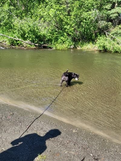 Campbell Creek Trail system