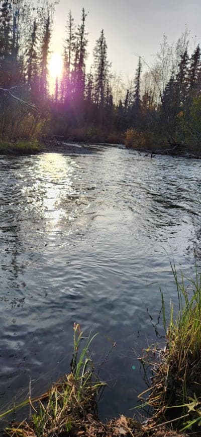 Campbell Creek Trail system