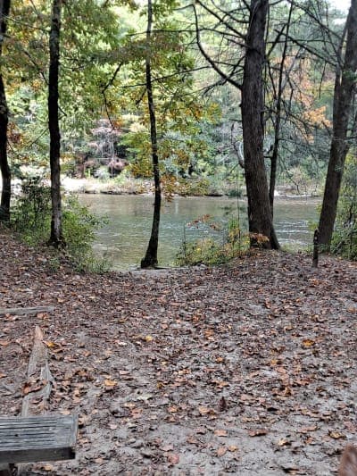 Rocky Gap / Willis Knob Horse Trails