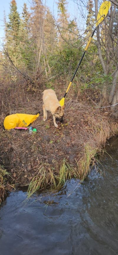 Campbell Creek Trail system