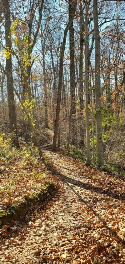 Rosaryville State Park