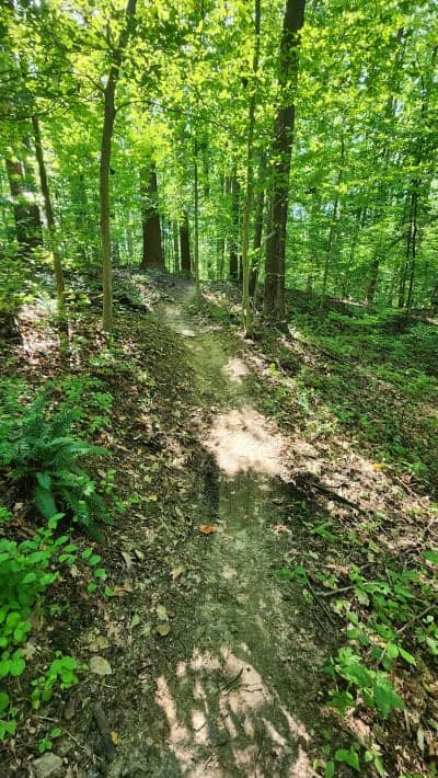 Rosaryville State Park