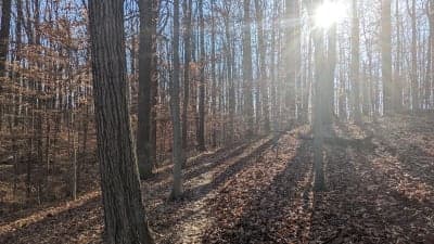 Rosaryville State Park