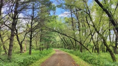 Root River State Trail (designated sections)