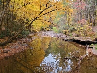 Rothrock State Forest / Trough Creek Corridor