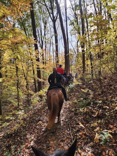 Rosaryville State Park