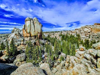 Routt National Forest
