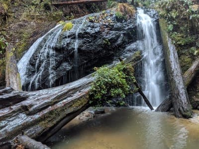 Russian Gulch State Park