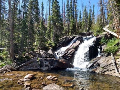 Routt National Forest