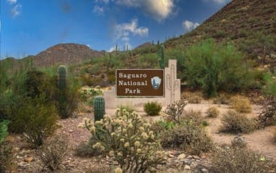 Saguaro National Park