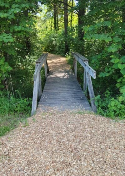 Salamonie Lake (Lost Bridge West)
