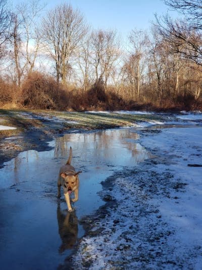 Sakonnet Greenway Trail