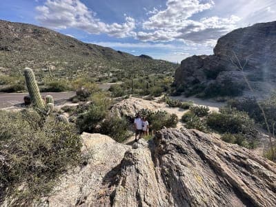 Saguaro National Park