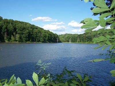 Salt Fork State Park