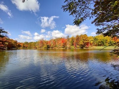 Salamonie River State Forest