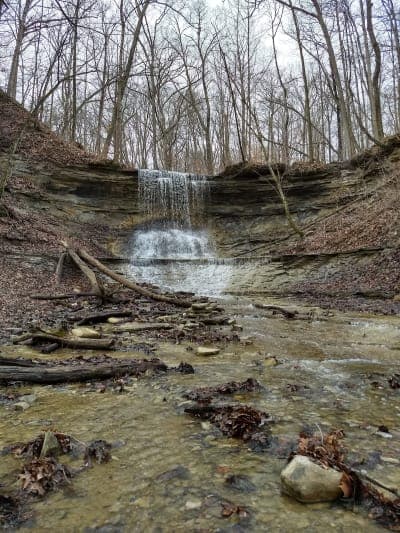 Salamonie River State Forest