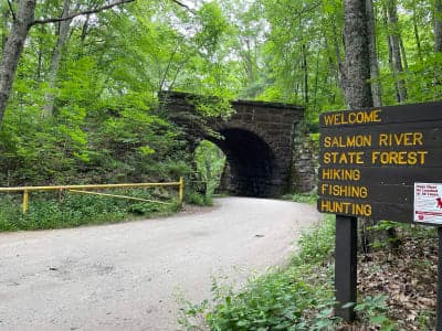 Salmon River State Forest
