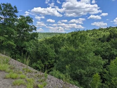 Salmon River State Forest