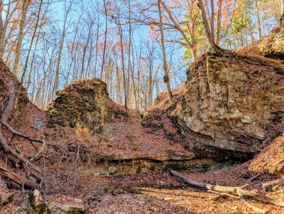 Salamonie River State Forest