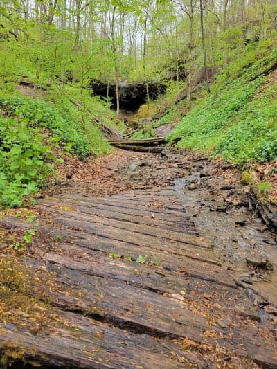 Salt Fork State Park