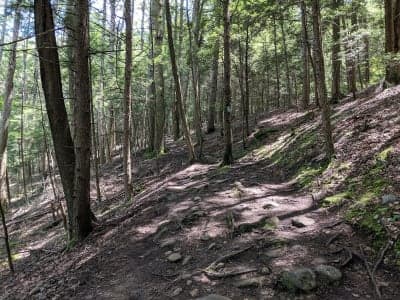 Salmon River State Forest