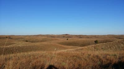 Samuel R. McKelvie National Forest