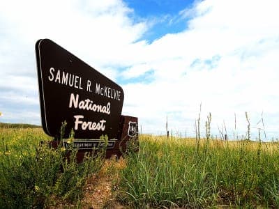 Samuel R. McKelvie National Forest
