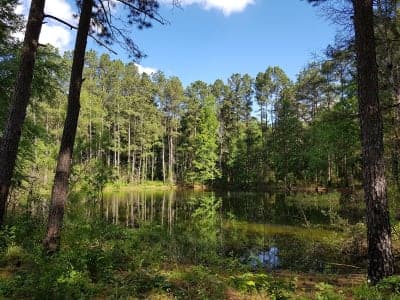 Sam Houston Multiple-Use Trails
