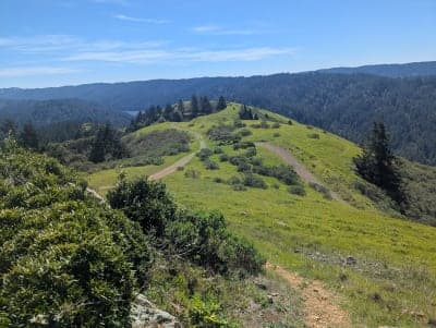 Samuel P. Taylor State Park