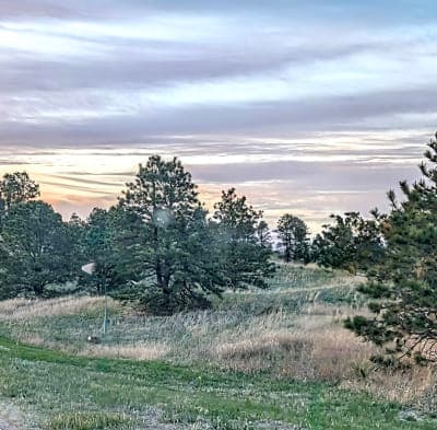 Samuel R. McKelvie National Forest