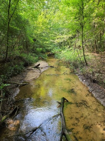 Sam Houston Multiple-Use Trails
