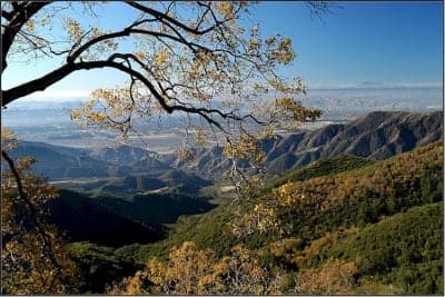 San Bernardino National Forest