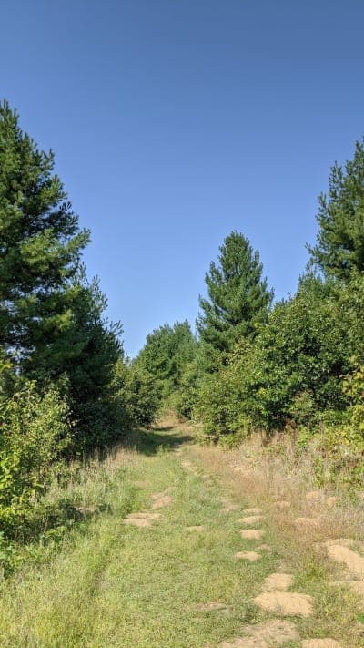 Sand Dunes State Forest / Bob Dunn Horse Campground