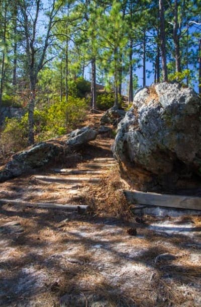 Sand Hills State Forest / Sugarloaf Mountain Equestrian Area