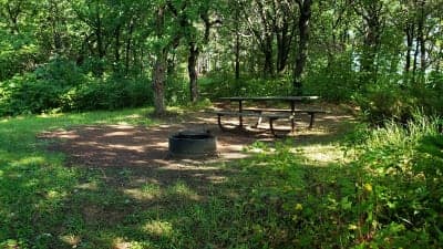 Sand Dunes State Forest / Bob Dunn Horse Campground