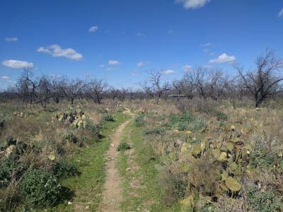 San Angelo State Park