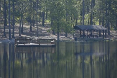 Sand Hills State Forest / Sugarloaf Mountain Equestrian Area