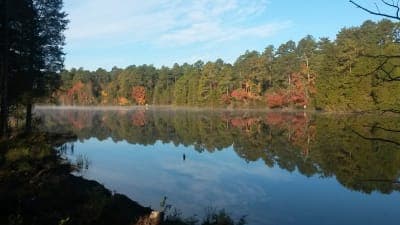 Sand Hills State Forest / Sugarloaf Mountain Equestrian Area
